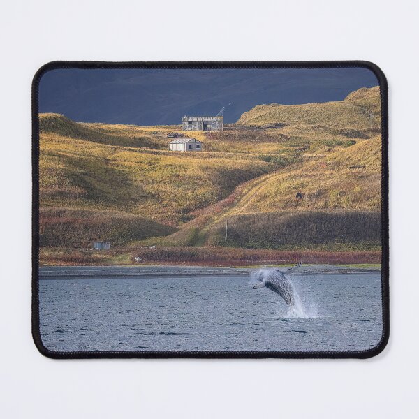 Item preview, AleutianLife Hog Island and Humpback  designed and sold by Aleutian Life Studios.