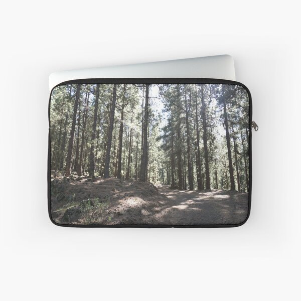 Item preview, Peaceful Pine Forest Path – Calming Nature & Woodland View designed and sold by Koimak.