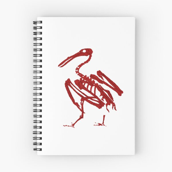 Item preview, Pelican skeleton designed and sold by Meluiben.