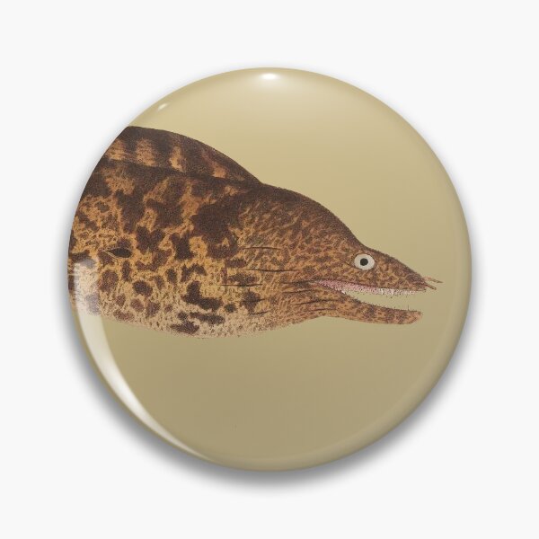 Item preview, vintage eel designed and sold by okapia concolor.