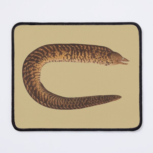 Item preview, vintage eel designed and sold by okapia concolor.