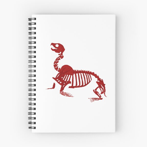 Item preview, Seal skeleton  designed and sold by Meluiben.