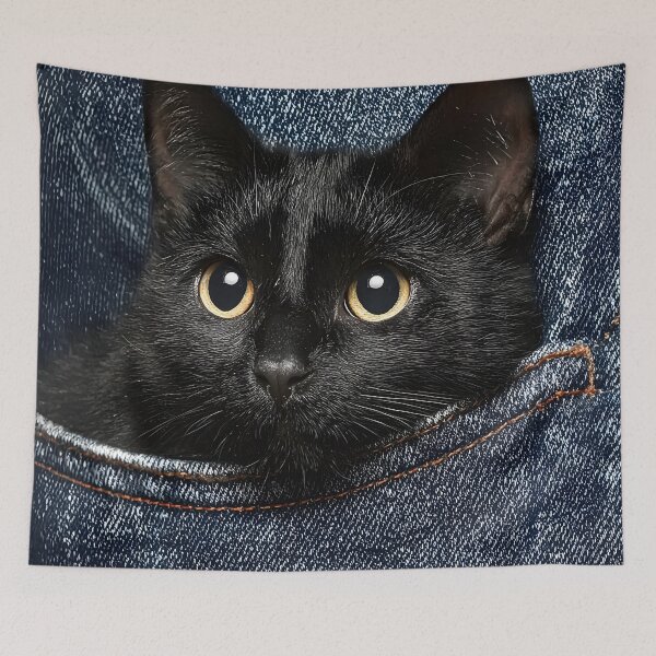 Item preview, Adorable black cat peering out of a denim pocket designed and sold by dcrc.