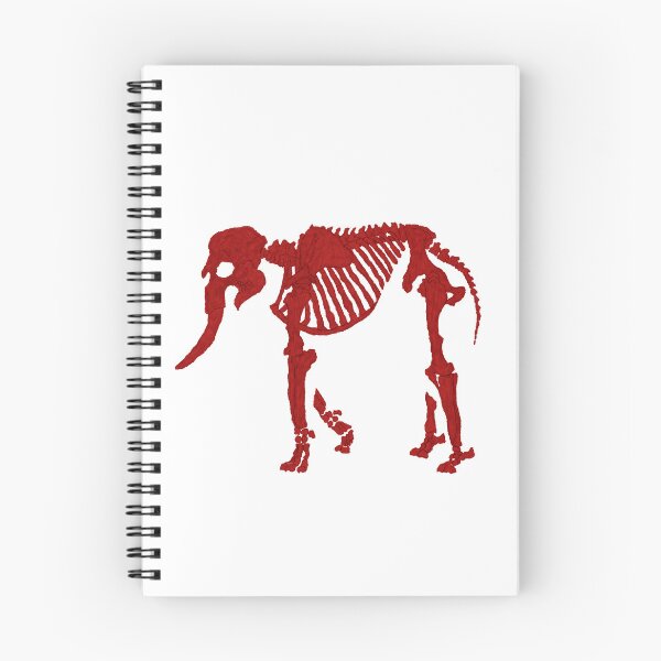 Item preview, Elephant skeleton designed and sold by Meluiben.