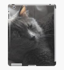Kitteh Kitteh iPad Case/Skin