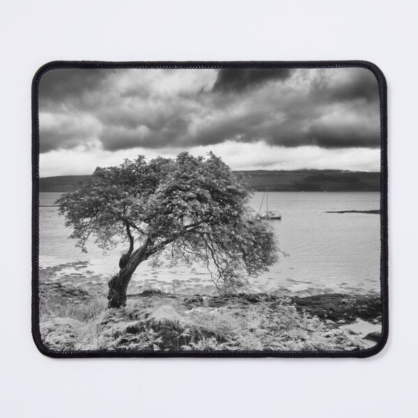 Item preview, Tree on the Coast designed and sold by Kasia Design.
