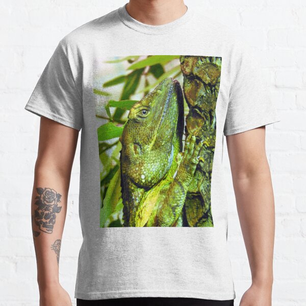 Frilled Neck Lizard Gifts & Merchandise for Sale | Redbubble