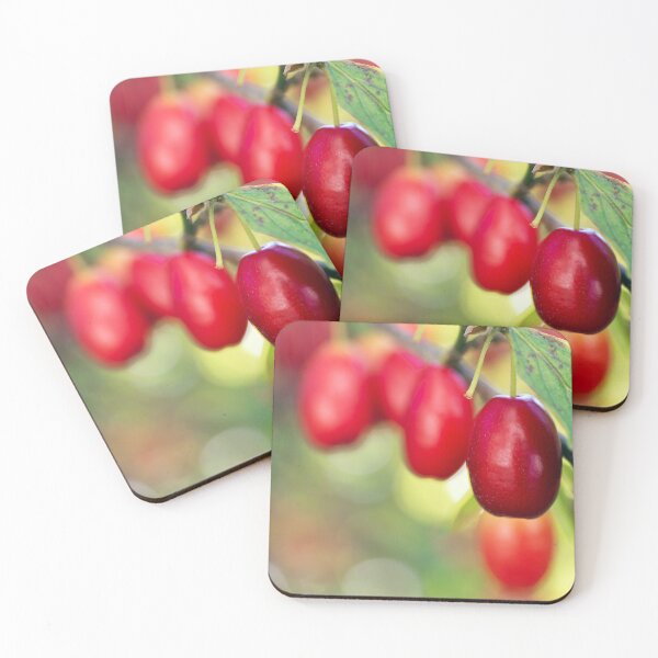 Item preview, Cornelian or Dogwood Cherry designed and sold by Kasia Design.