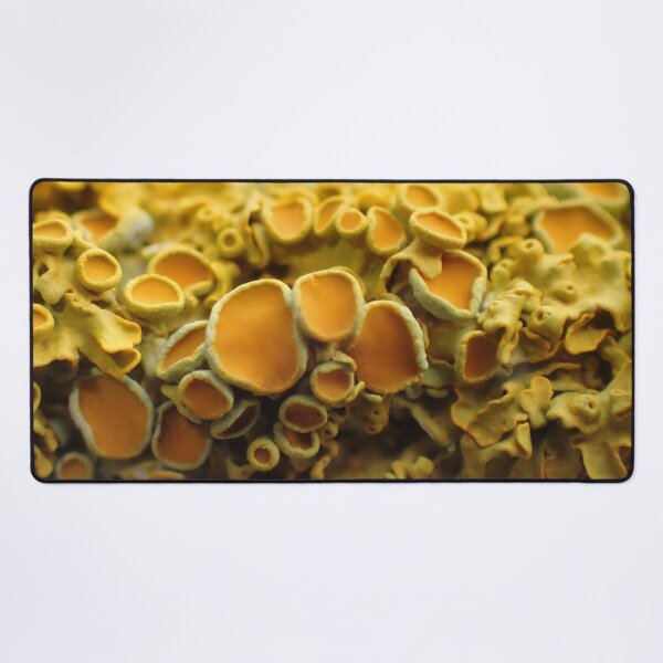 Item preview, Wild Popcorn? designed and sold by Kasia Design.