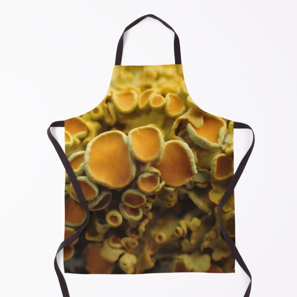 Item preview, Wild Popcorn? designed and sold by Kasia Design.