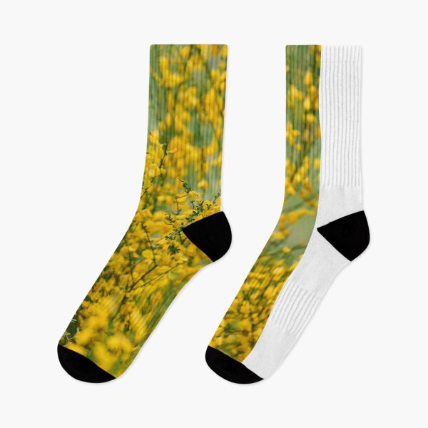 Item preview, Common Broom Blooming in Spring designed and sold by Imagerisium.