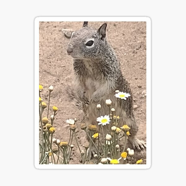 Item preview, squirrel and flowers  designed and sold by pksart1.