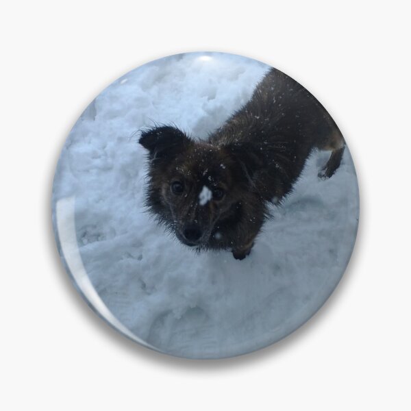 Item preview, Dog in snow designed and sold by J+J Photography.