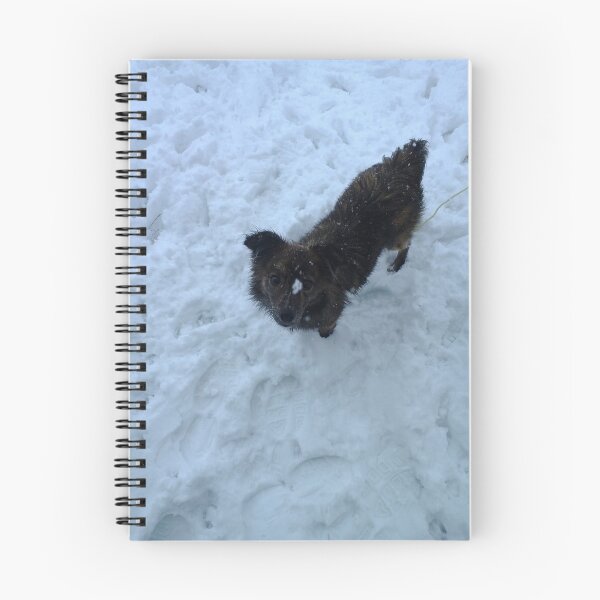 Item preview, Dog in snow designed and sold by J+J Photography.