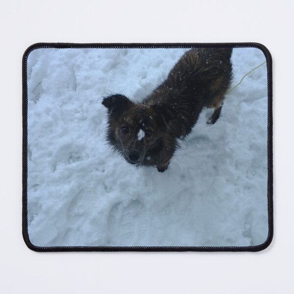 Item preview, Dog in snow designed and sold by J+J Photography.