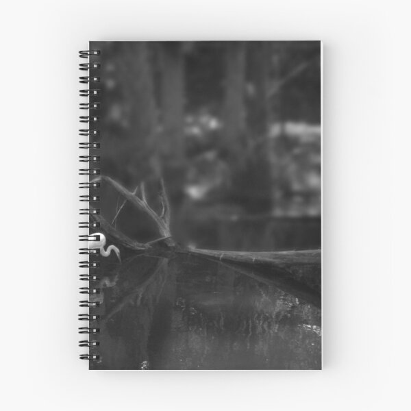 Item preview, Snowy Egret in the Everglades designed and sold by Wayne King.