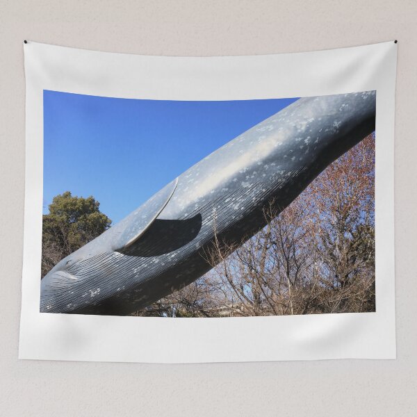 Item preview, Blue whale statue designed and sold by zumi.