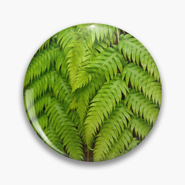 Item preview, Closeup of fern in laurisilva forest designed and sold by Imagerisium.