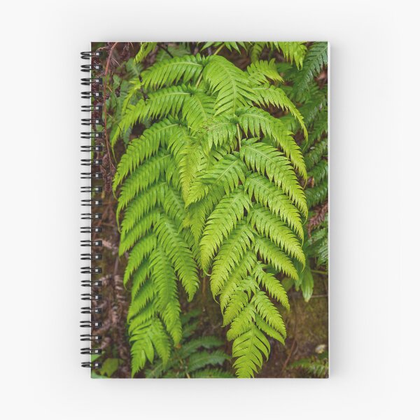 Item preview, Closeup of fern in laurisilva forest designed and sold by Imagerisium.