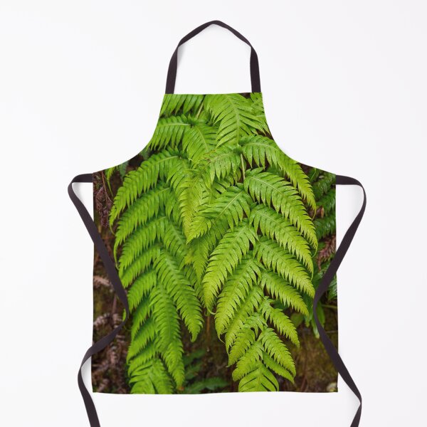 Item preview, Closeup of fern in laurisilva forest designed and sold by Imagerisium.