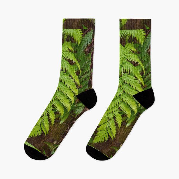 Item preview, Closeup of fern in laurisilva forest designed and sold by Imagerisium.