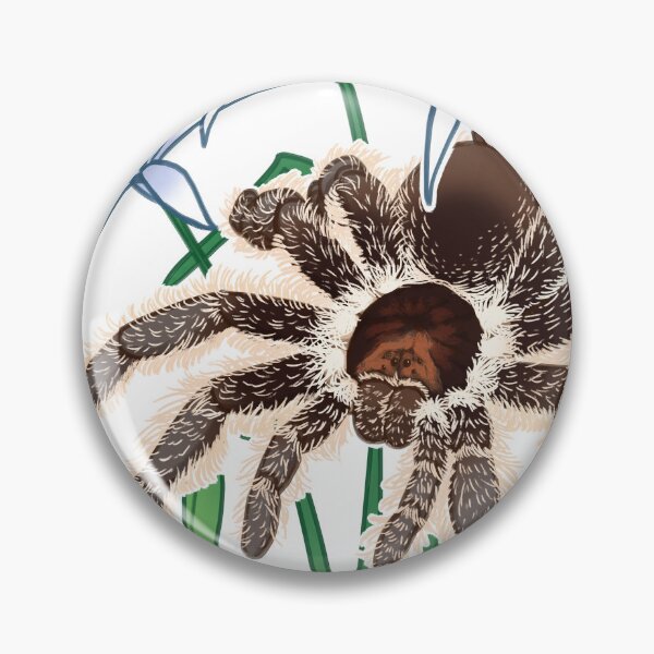 Item preview, Tliltocatl albopilosum designed and sold by the8thpage.