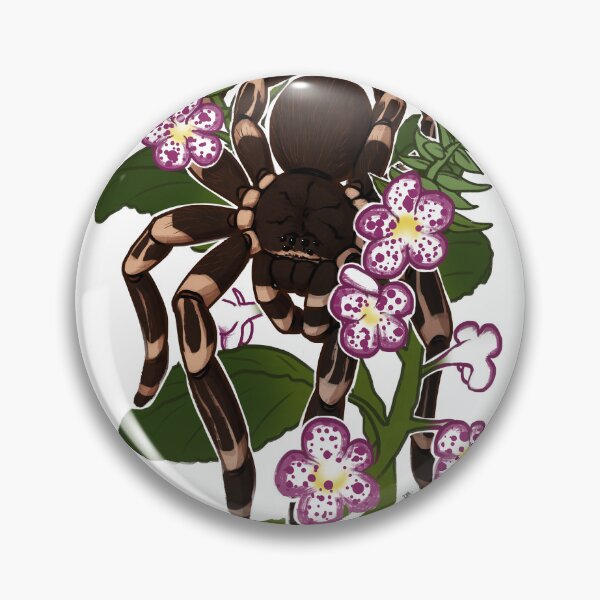 Item preview, Acanthoscurria geniculata designed and sold by the8thpage.