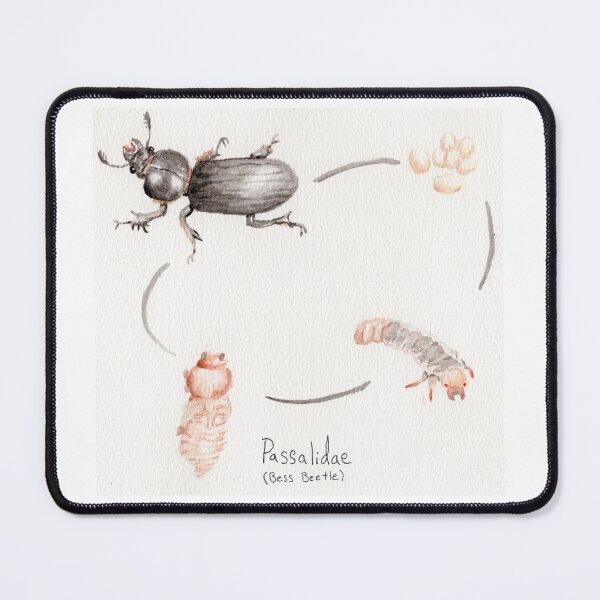 Item preview, Watercolor Bess Beetle Lifecycle designed and sold by Dion’s Designs.