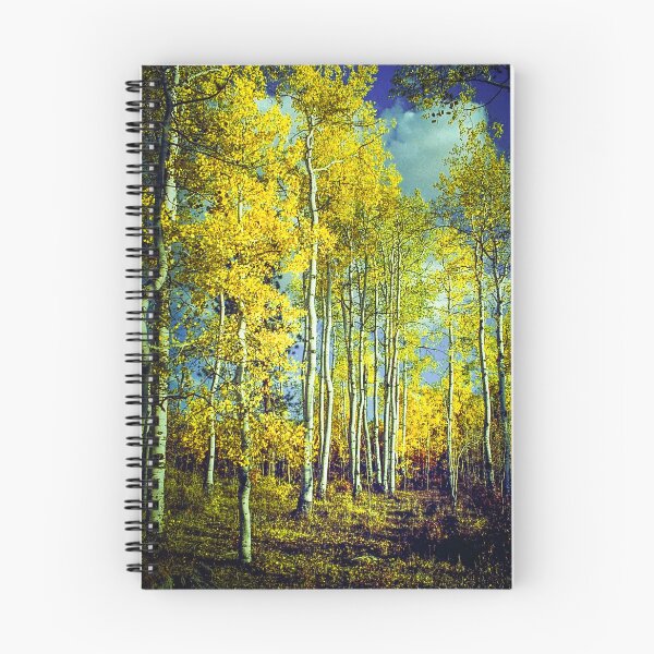 Item preview, Camino de otoño designed and sold by Atlas and Aperture.
