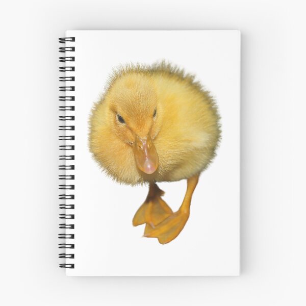 Item preview, Duck designed and sold by di-Vera-Rosati.