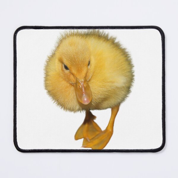 Item preview, Duck designed and sold by di-Vera-Rosati.