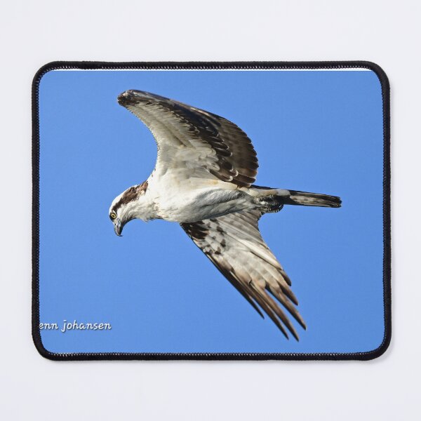 Item preview, Looking for supper  designed and sold by Glennphotos.