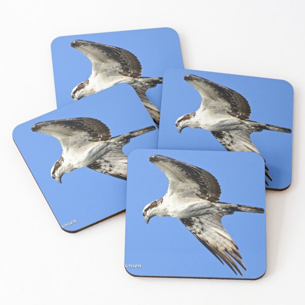 Item preview, Looking for supper  designed and sold by Glennphotos.
