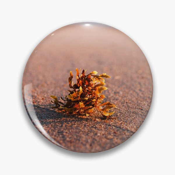Item preview, Nags Head Beach designed and sold by Atlas and Aperture.