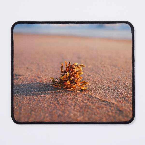 Item preview, Nags Head Beach designed and sold by Atlas and Aperture.