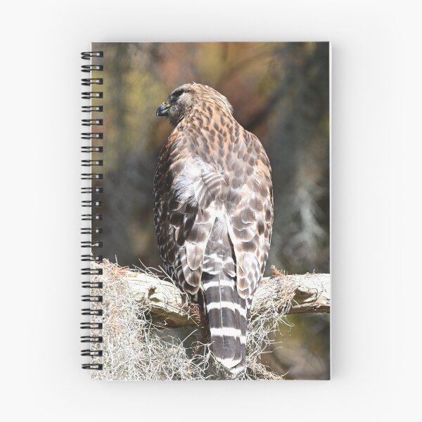 Item preview, Checking  designed and sold by Glennphotos.
