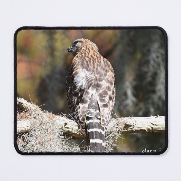 Item preview, Checking  designed and sold by Glennphotos.