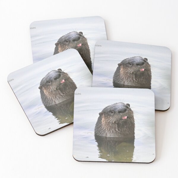 Item preview, What's up  designed and sold by Glennphotos.