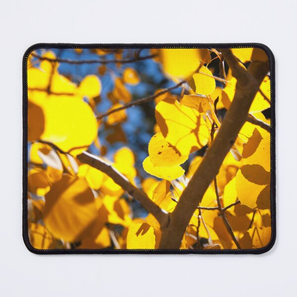 Item preview, Autumn View designed and sold by Atlas and Aperture.
