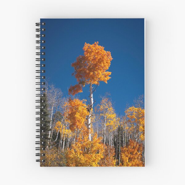 Item preview, Standing Tall designed and sold by Atlas and Aperture.