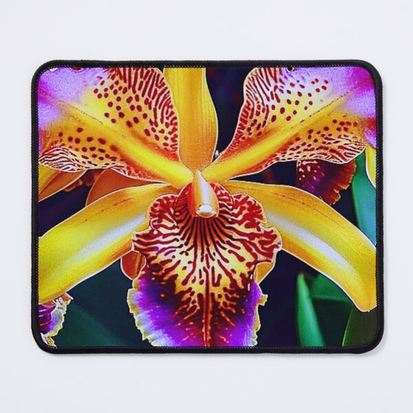 Item preview, LaelioCattleya schillerania designed and sold by NightRaida.