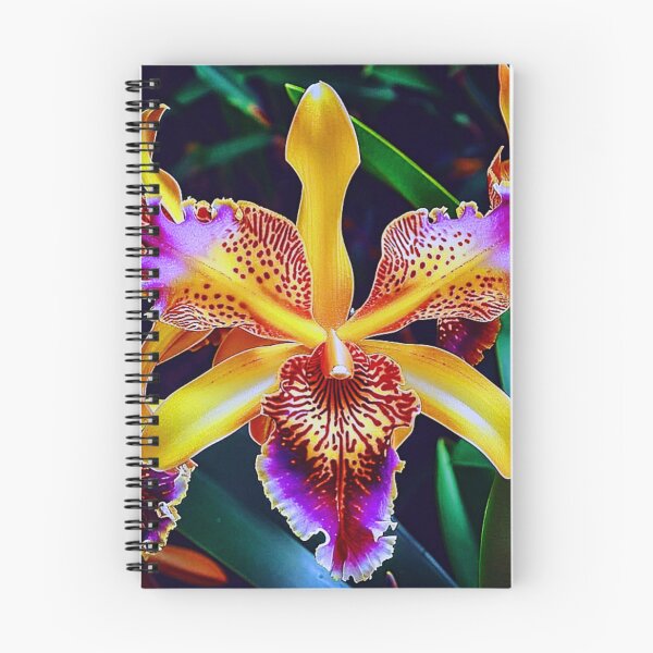 Item preview, LaelioCattleya schillerania designed and sold by NightRaida.