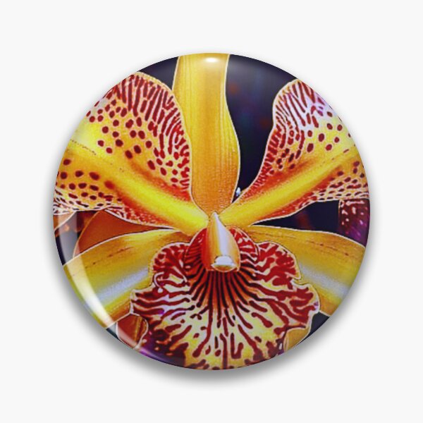 Item preview, LaelioCattleya schillerania designed and sold by NightRaida.