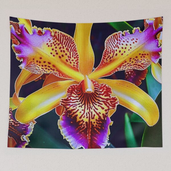 Item preview, LaelioCattleya schillerania designed and sold by NightRaida.