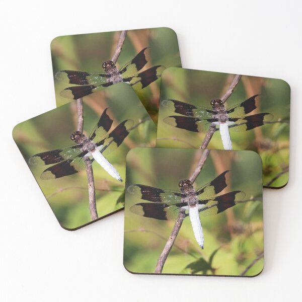 Item preview, Common Whitetail designed and sold by Kerri Ann McClellan.