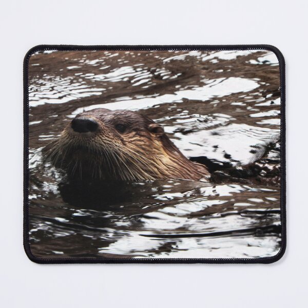Item preview, Otter designed and sold by Kerri Ann McClellan.