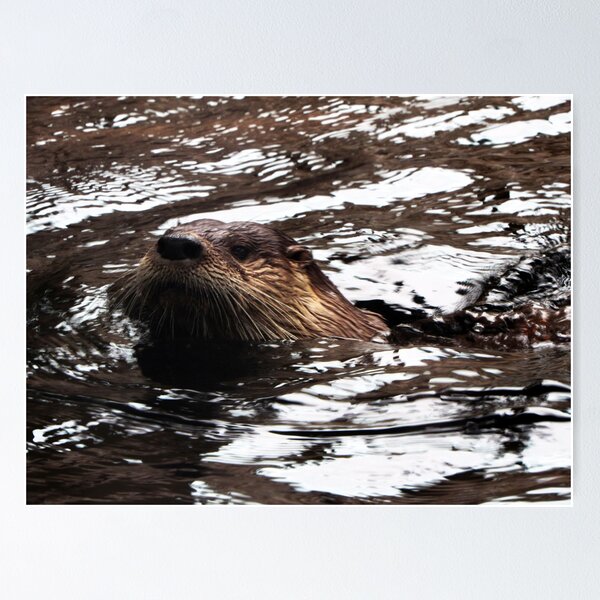Item preview, Otter designed and sold by Kerri Ann McClellan.