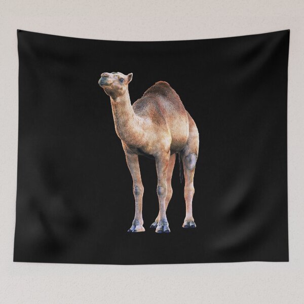 Item preview, Camel — Desert Guardian designed and sold by Massimo Righi.