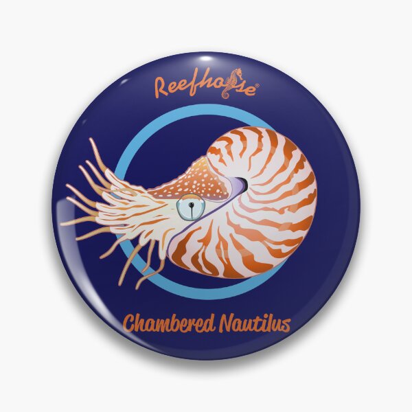 Item preview, Chambered Nautilus designed and sold by KaplanCrypto.