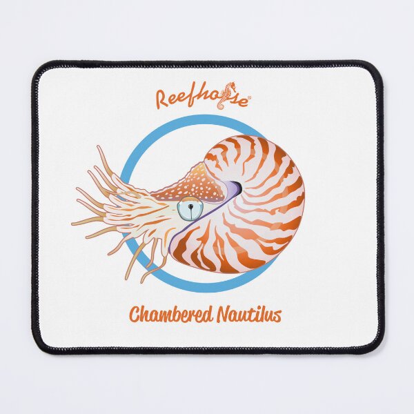 Item preview, Chambered Nautilus designed and sold by KaplanCrypto.